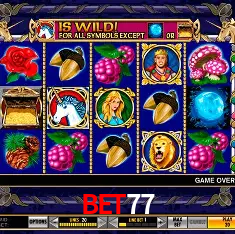 bet77 Brasília - VIP Program